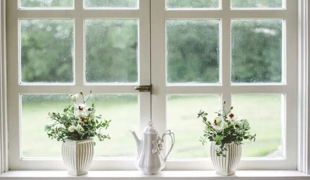 glass window with two flower vases