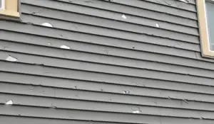 A close-up of damaged siding on a gray house, showing cracks, holes, and chipped paint from hail impact.