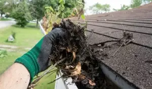 Removing debris from gutter to prevent gutter problems in a Crest Hill home.